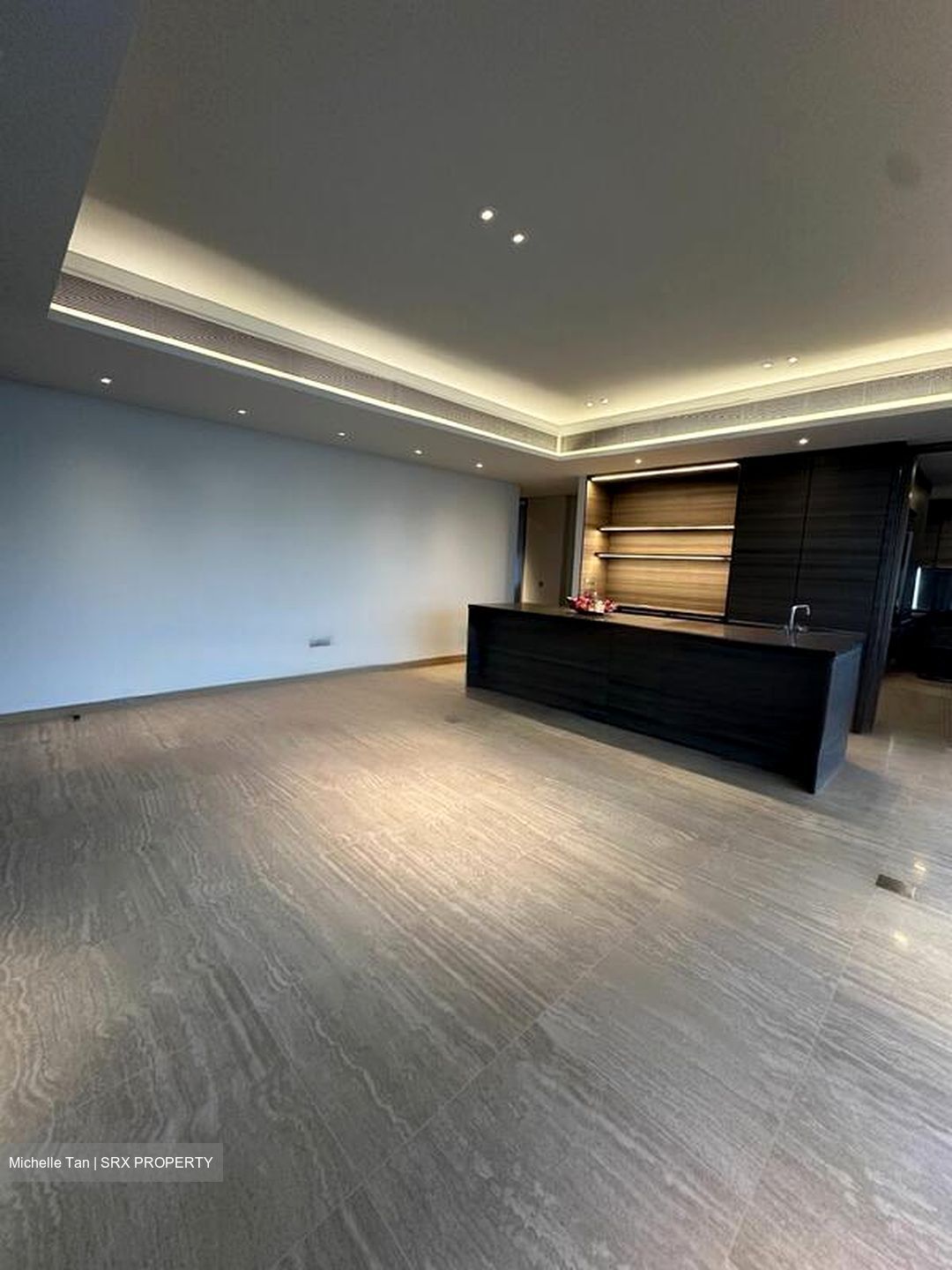 Hana (D10), Condominium #461434201